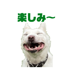Kichi_20241108124413