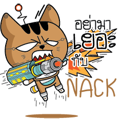 NACK2 Robot cat