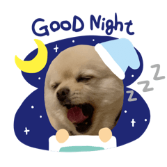 omochikun_20241108142519