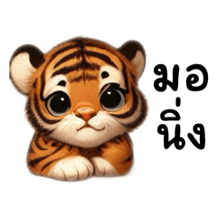 Warinthon cute little tiger