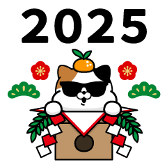 Sunglasses Cat @ New Year 2025