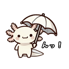 Baby Axolotl (for daily use)