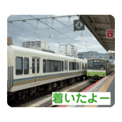 nitamago_20241108185418