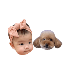 mifffy