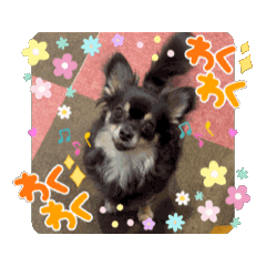 KAYO_20241109051945