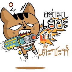 DASHA Robot cat