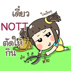 NOTT kao-soi e