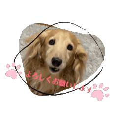 tori_20241109142629