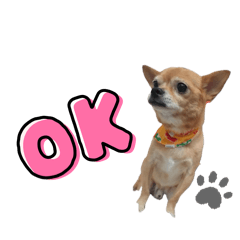 mamenoHAHA_20241109172857