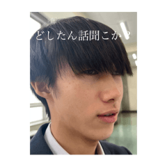 tanuki_20241109174416