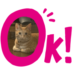 Sayuri_20241109205957