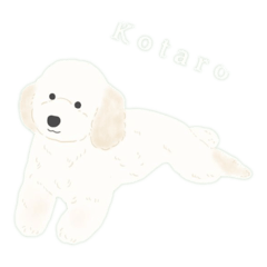 kotaro_20241109120038