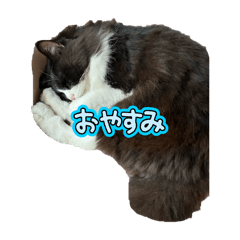 kayo_20241109221626