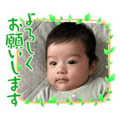 harupon_20241109234123