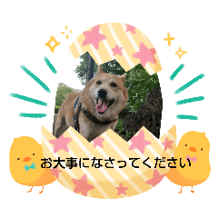 namihei_20241109184648