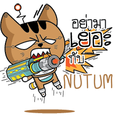 NUTUM Robot cat e