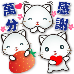 Cute white cat-- Space-saving stickers