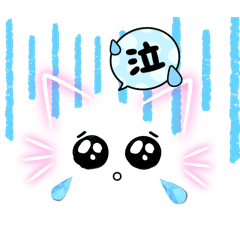 catmind!cute,,thank you