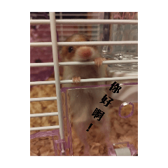 阿布小心情
