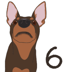 Miniature Pinscher Sticker(ct)6