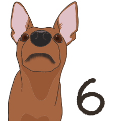 Miniature Pinscher sticker(r)6