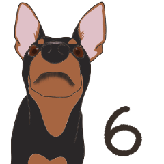 Miniature Pinscher Sticker(bt)6