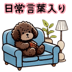 Healing Fluffy Poodle (Daily Phrases)