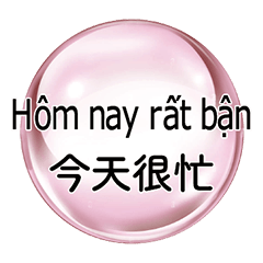 Vietnamese CrystalBall_1 2