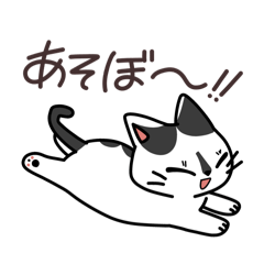 yanagi_20241108234334