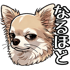 Dog's Feelings 5 (chihuahua)