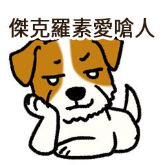 傑克羅素梗犬愛嗆人-第一擊