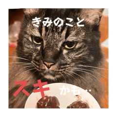 piromin_20241110084359