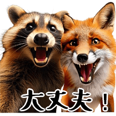 Fox and  Raccoon