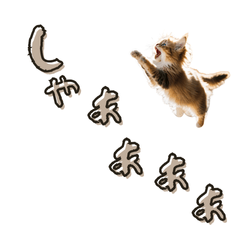 Kitten Feelings Stickers