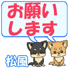 Matsukaze's letters Chihuahua2