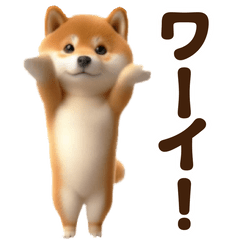 Dance Shiba Inu