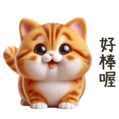 ginger cat super cute1