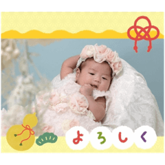 grizzly_20241110193949