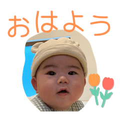 CHIYO_20241110224204