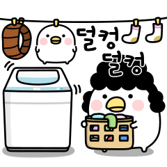 noisy chicken mother Korea4