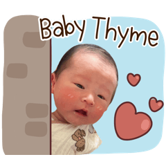 baby-thyme