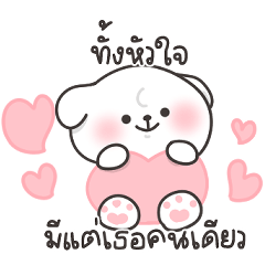 โคอิ & ยูเมะ คู่รัก