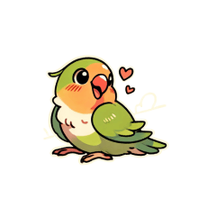 Love bird Cippi