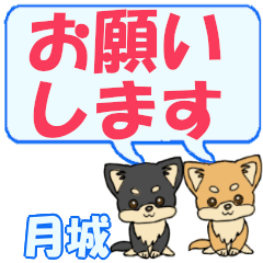 月城「つきしろ」用でか文字チワワ２