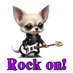 rock'n'roll chihuahua