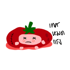 Tomato cutie1