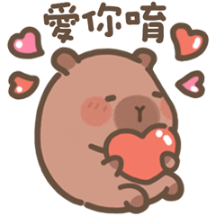 capybara pudding-daily