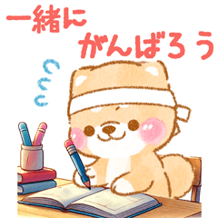 受験や勉強を応援する❤️いやしばいぬ❤️
