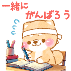 iyashibainu Support for exams