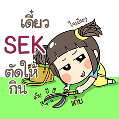 SEK kao-soi e